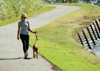 Amendment to animal management Local Law – have your say!