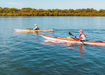 Redlands Coast holding steady on environmental health