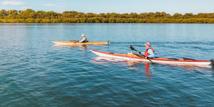 Redlands Coast holding steady on environmental health