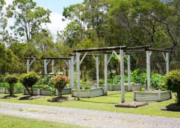 Council supports Neighbour Day community garden events