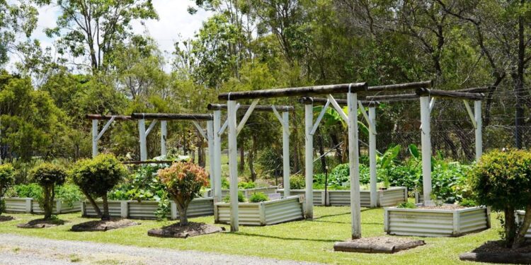 Council supports Neighbour Day community garden events