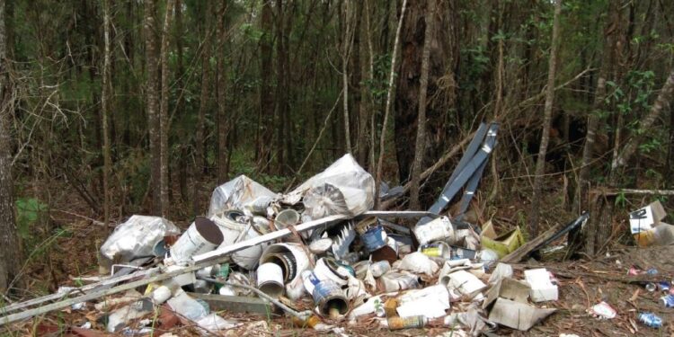 Council cracks down on illegal dumping on Redlands Coast