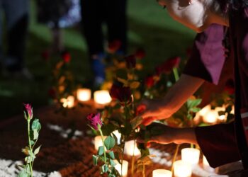 Community can work together to HALT domestic and family violence