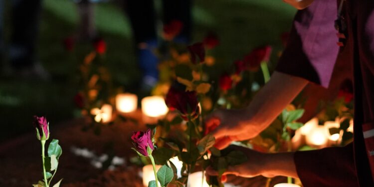 Community can work together to HALT domestic and family violence