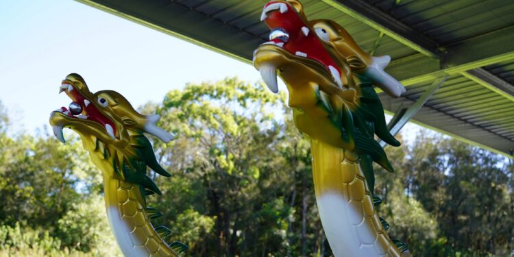 Council makes a splash with Sea Dragons’ new clubhouse