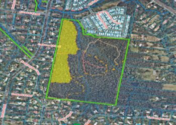 Planned burn: Swamp Box Conservation Area, Capalaba – 24 May to 2 June 2023