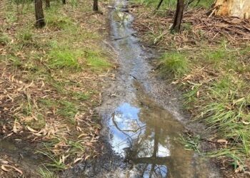 Council urges people to stay off waterlogged tracks and trails