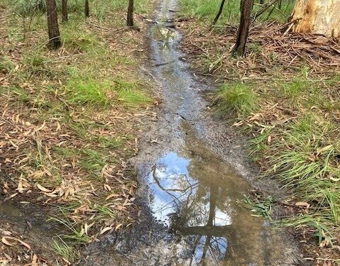 Council urges people to stay off waterlogged tracks and trails