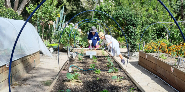 Apply now for Community Grants funding from Council