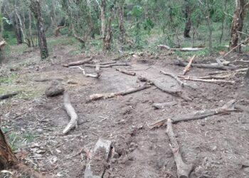 Unauthorised trail modifications pose safety risk in reserves