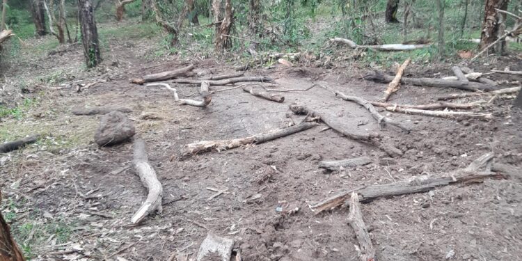 Unauthorised trail modifications pose safety risk in reserves