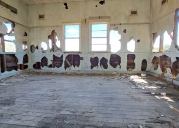 Isabella ‘Goat Lady’ Alcock’s legacy to live on