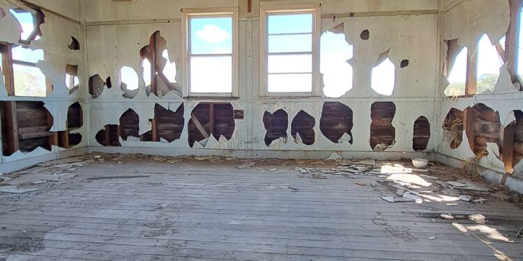 Isabella ‘Goat Lady’ Alcock’s legacy to live on