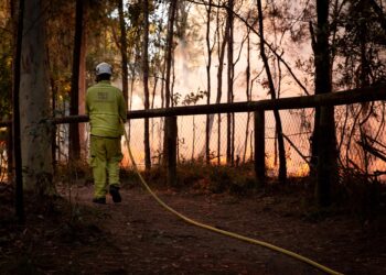 Forums support community resilience in times of disaster