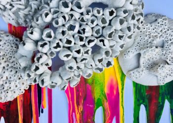 Redland Art Gallery exhibition explores environmental future