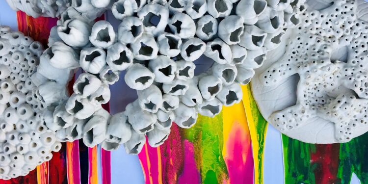 Redland Art Gallery exhibition explores environmental future