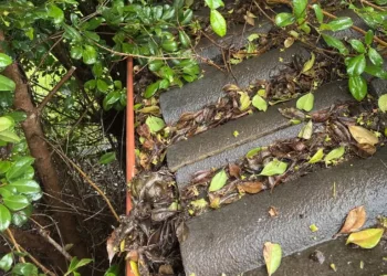 Residents urged to get ready for bushfire and storm season