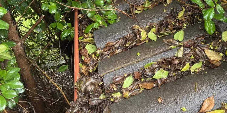 Residents urged to get ready for bushfire and storm season