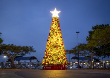 All set for a very merry Redlands Coast Christmas