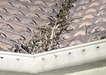 Prepare your home for disasters with a gutter clean