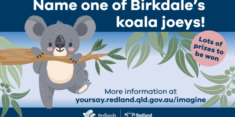 Great prizes to be won in ‘Name the koala joey’ competition