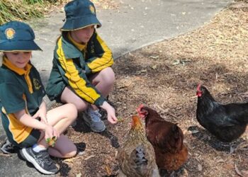 Council continues support for EcoMarines program in schools