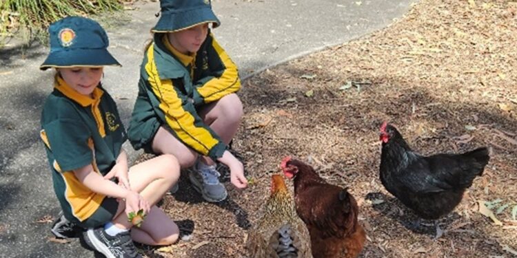 Council continues support for EcoMarines program in schools