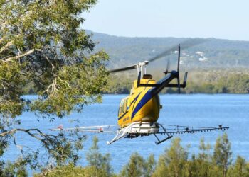 Residents urged to check yards for mozzie breeding sites
