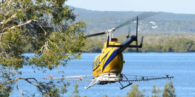 Residents urged to check yards for mozzie breeding sites