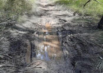 Wet weather causes closure of roads, conservation areas and park