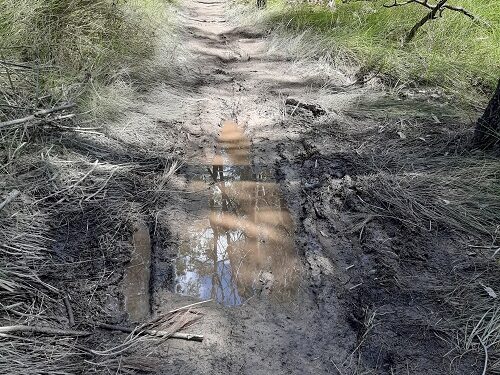 Wet weather causes closure of roads, conservation areas and park