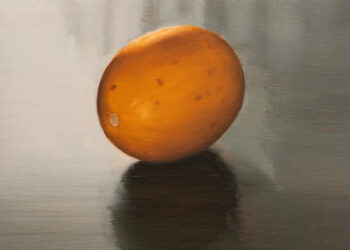 Redland Art Gallery exhibitions leave lasting impression