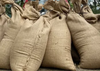 Redland City Council opens sandbagging stations