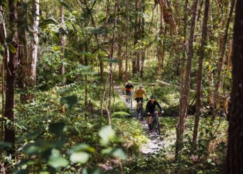 Council on track with maintenance of Bayview bike trails