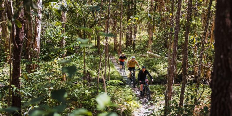 Council on track with maintenance of Bayview bike trails