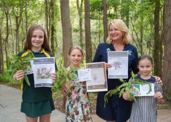Birkdale’s newest ambassador koalas named on their first birthdays