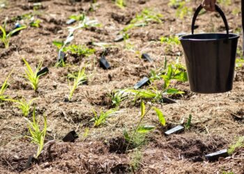 Applications open for Community Grants funding from Council