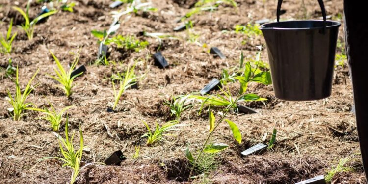 Applications open for Community Grants funding from Council