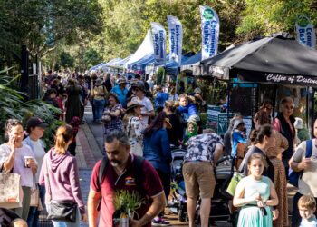 IndigiScapes Eco Markets for 6 April cancelled due to wet weather