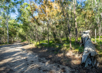 Scribbly Gums track closes for two days for fire mitigation works