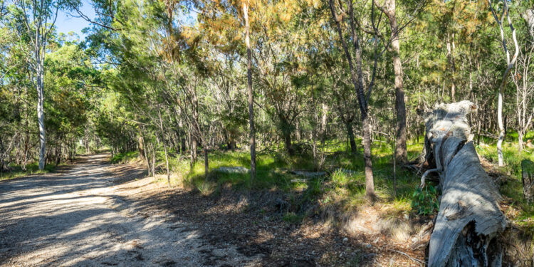Scribbly Gums track closes for two days for fire mitigation works