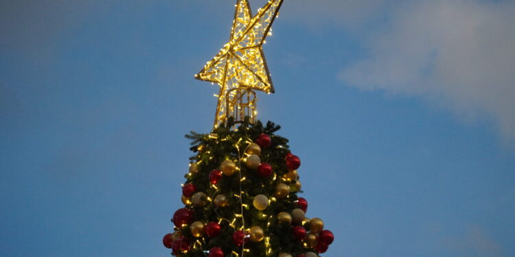 Redlands Coast Christmas celebrations reimagined as city-wide festival