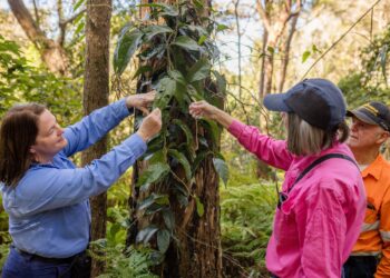Land for Wildlife efforts win local government award