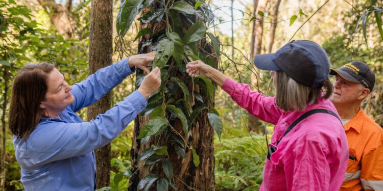 Land for Wildlife efforts win local government award
