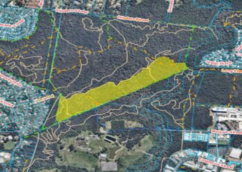 Planned burn: Alexandra Hills – 11 and 12 June 2024