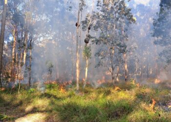 Planned burn: North Stradbroke Island – 18 to 21 June 2024