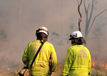 Planned burn: North Stradbroke Island – 18 to 21 June 2024