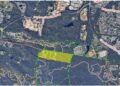 Planned burn: Bayview Conservation Area – 27 and 29 August 2024