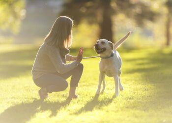 Keep dogs on leash to avoid increased statewide penalties