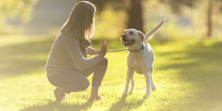 Keep dogs on leash to avoid increased statewide penalties